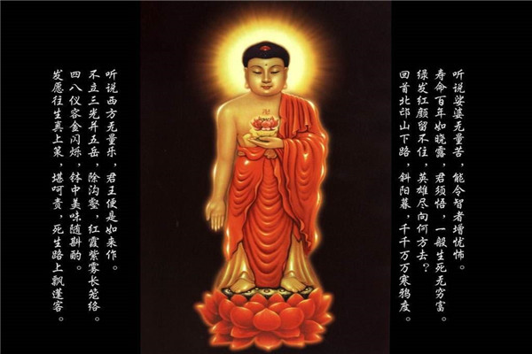 佛界最大的三位佛是谁 南无释迦摩尼佛是佛教学说的创建者400 / 作者:UFO爱好者 / 帖子ID:103337