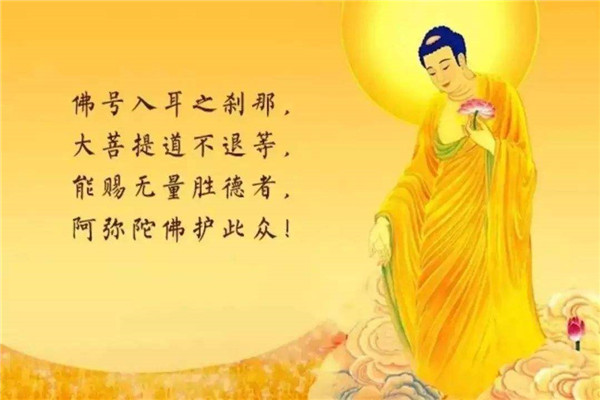 佛界最大的三位佛是谁 南无释迦摩尼佛是佛教学说的创建者831 / 作者:UFO爱好者 / 帖子ID:103337