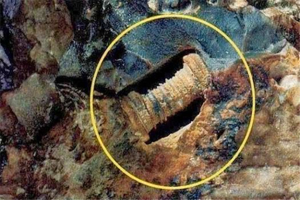 三亿年前的螺丝钉是真的吗 三亿年前可能是地球重生892 / 作者:UFO爱好者 / 帖子ID:103068
