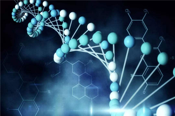 十大诡异预言是什么 基因工程是生物学中最大的工程之一378 / 作者:UFO爱好者 / 帖子ID:103042