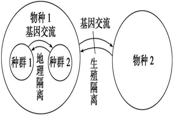 进化论十大漏洞有哪些 进化论这些漏洞可以解释吗319 / 作者:UFO爱好者 / 帖子ID:102732