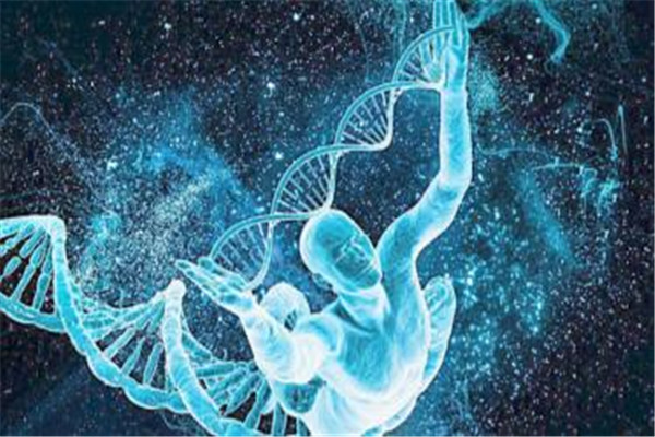 达尔文四号星球上有没有生物 达尔文四号星球有哪些特别的668 / 作者:UFO爱好者 / 帖子ID:73493
