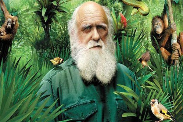 人类和地球生物有没有相似之处 人类和某些生物不一样74 / 作者:UFO爱好者 / 帖子ID:102469