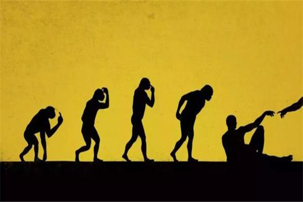 人类进化的六个阶段图 六个阶段表现六个不同进化872 / 作者:UFO爱好者 / 帖子ID:102472