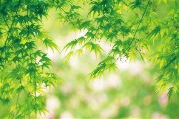 上古十二大元素分别是什么 时间是最重要元素608 / 作者:UFO爱好者 / 帖子ID:81704