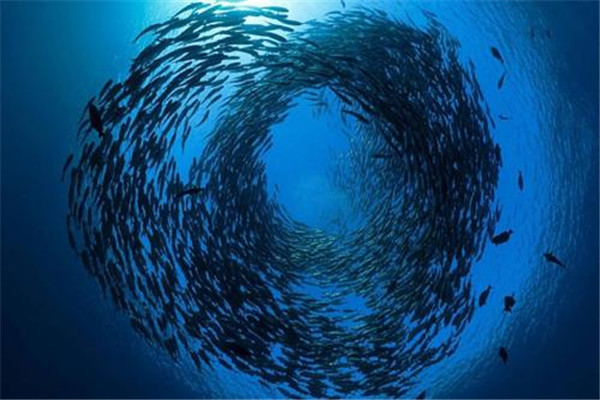 马里亚纳海沟在哪个洋里面 太平洋底（60000万多年历史）599 / 作者:UFO爱好者 / 帖子ID:73380
