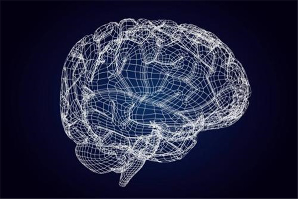 大脑极限：人类进化的极限 人类大脑极限难以预测905 / 作者:UFO爱好者 / 帖子ID:102006