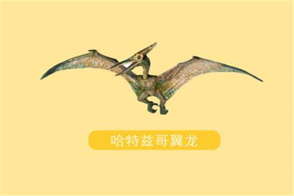 哈特兹哥翼龙 一种以恐龙为食的巨型翼龙（顶级掠食者）970 / 作者:UFO爱好者 / 帖子ID:102005