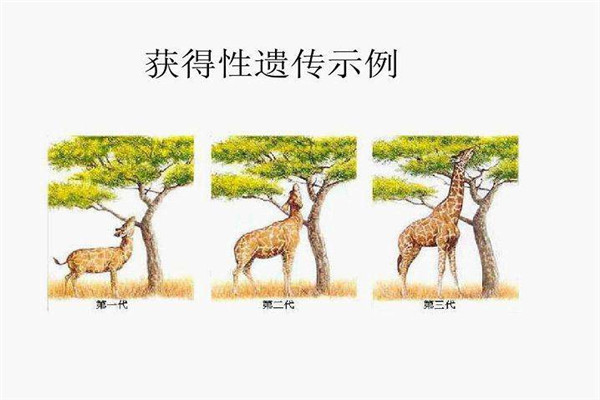获得性遗传理论揭秘 获得性遗传主要内容是什么544 / 作者:UFO爱好者 / 帖子ID:102003