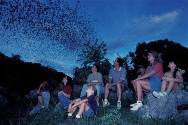 世界最大蝙蝠洞在哪里 布兰肯洞穴（可同时容纳2000万蝙蝠）324 / 作者:UFO爱好者 / 帖子ID:94765