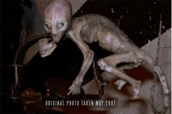 墨西哥地鼠人到底是什么情况 墨西哥地鼠人存在吗705 / 作者:UFO爱好者 / 帖子ID:102272