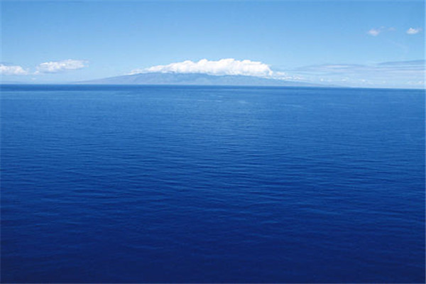 海底一万米吓疯潜水员？海底一万米会呈现什么恐怖景色130 / 作者:UFO爱好者 / 帖子ID:101944