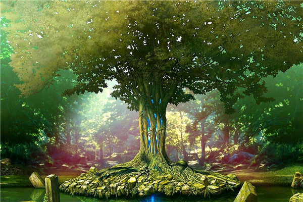 世界十大最奇特的树 第一常见而崇高第二表面光滑内里坚硬313 / 作者:UFO爱好者 / 帖子ID:92005