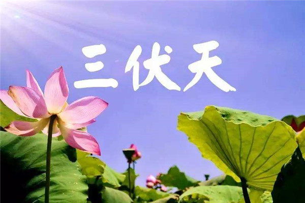 三伏天从什么时候开始 三伏天该怎么过才不会中暑738 / 作者:UFO爱好者 / 帖子ID:102160
