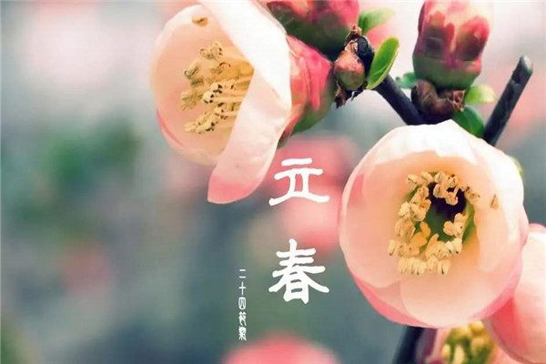我国最神奇的年份 双春年（农历一年中有两个立春节气）39 / 作者:UFO爱好者 / 帖子ID:102052