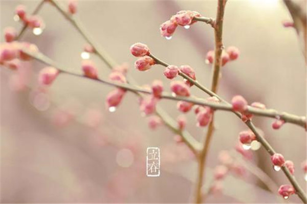我国最神奇的年份 双春年（农历一年中有两个立春节气）56 / 作者:UFO爱好者 / 帖子ID:102052