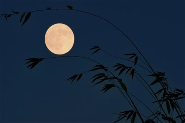 月光下的凤尾竹葫芦丝 施光南先生创造的傣族乐曲756 / 作者:UFO爱好者 / 帖子ID:101547