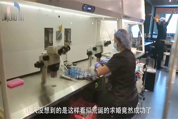 父亲向女儿前男友求婚 国外两个男性结婚比较正常65 / 作者:UFO爱好者 / 帖子ID:101572
