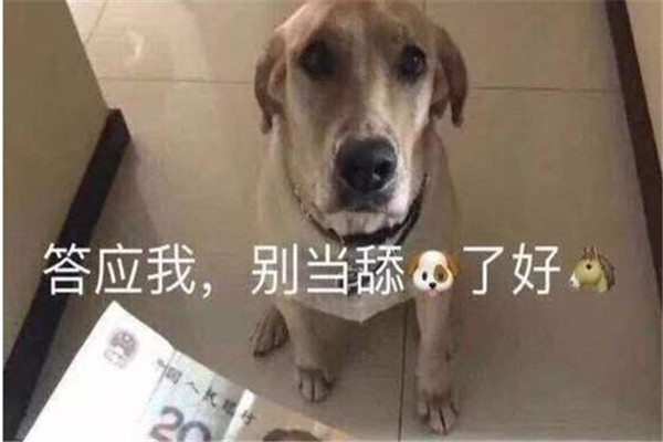 舔狗是什么意思 舔狗是一种网络用语词（讽刺意义）445 / 作者:UFO爱好者 / 帖子ID:101671