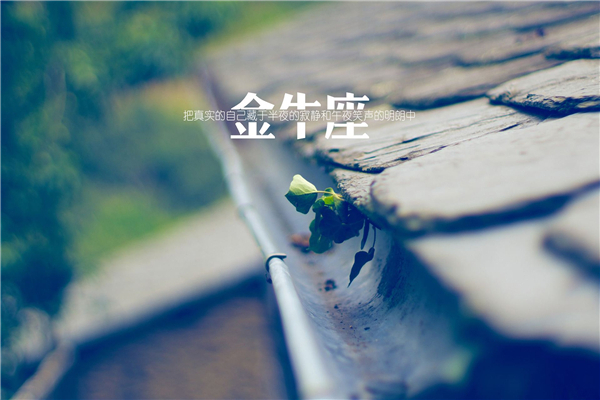 十二星座谁长大了最美 十二星座有十二种不同的美4 / 作者:UFO爱好者 / 帖子ID:71944