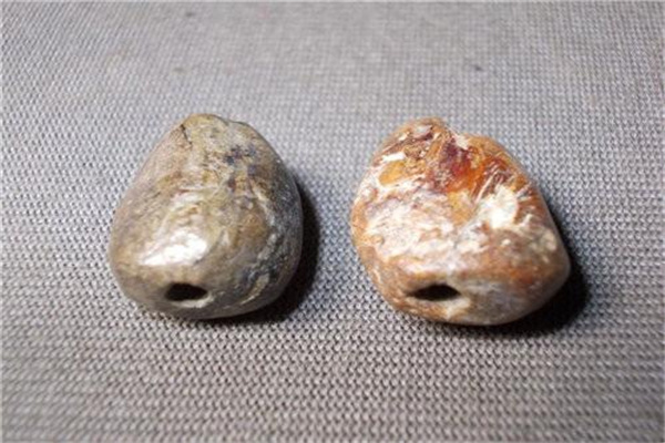 火葬场经常烧出舍利吗？几乎不可能（很是困难）276 / 作者:UFO爱好者 / 帖子ID:99459