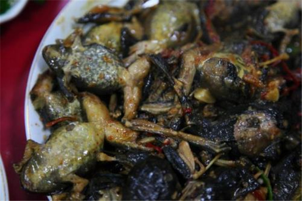 林蛙介绍：营养丰富的动物（一种有名的食材）410 / 作者:UFO爱好者 / 帖子ID:94895