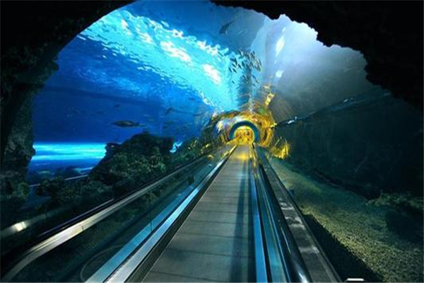 世界上最长的海底沉管隧道：港珠澳大桥海底隧道（建造困难）59 / 作者:UFO爱好者 / 帖子ID:67941
