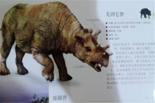 尤因它兽：别名恐角兽（泰坦级生物但战斗力弱）703 / 作者:UFO爱好者 / 帖子ID:67734