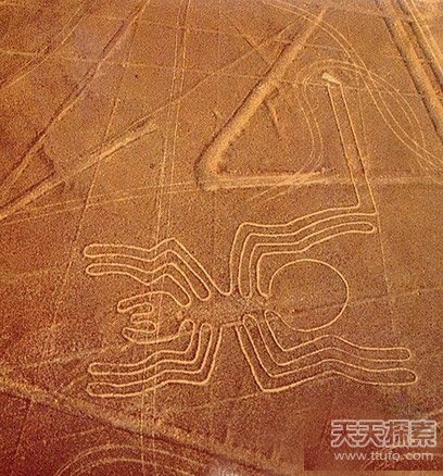 地球被忽视的历史：史前巨人族的存在433 / 作者:UFO爱好者 / 帖子ID:85755
