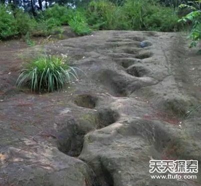 无人可解的未解之谜：诺亚方舟真实存在263 / 作者:UFO爱好者 / 帖子ID:80348