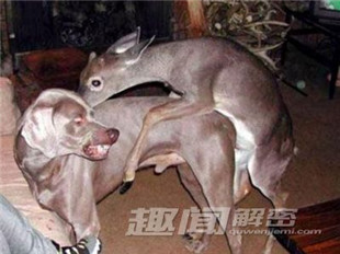 轮回转世之谜 人死后到底去哪?96 / 作者:UFO爱好者 / 帖子ID:80546 轮回转世之谜 人死后到底去哪?96 / 作者:UFO爱好者 / 帖子ID:80546