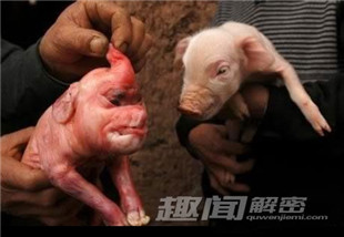 轮回转世之谜 人死后到底去哪?289 / 作者:UFO爱好者 / 帖子ID:80546 轮回转世之谜 人死后到底去哪?289 / 作者:UFO爱好者 / 帖子ID:80546
