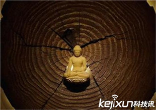 轮回转世之谜 人死后到底去哪?910 / 作者:UFO爱好者 / 帖子ID:80546 轮回转世之谜 人死后到底去哪?910 / 作者:UFO爱好者 / 帖子ID:80546