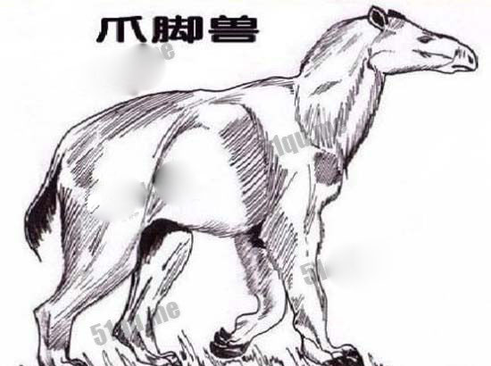 驴头狼,体长超1米 头部像驴 身子象狼125 / 作者:UFO爱好者 / 帖子ID:82465