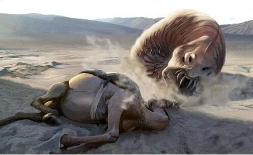 揭开“死亡之虫”的神秘面纱!154 / 作者:UFO爱好者 / 帖子ID:76657