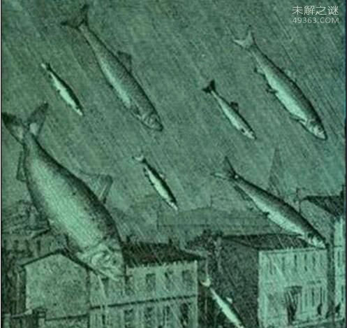 天不掉馅饼竟然掉海鱼，空中降鱼(究竟是怎么回事?)761 / 作者:UFO爱好者 / 帖子ID:82540