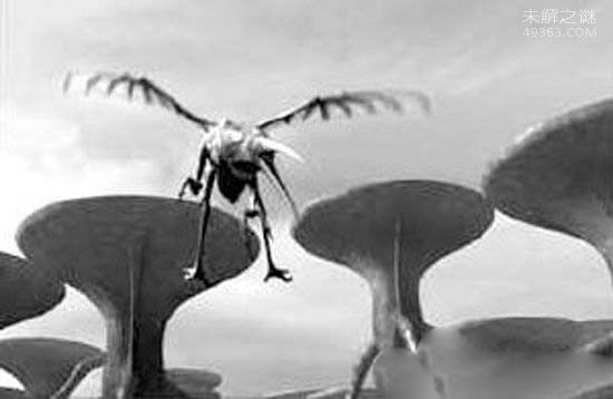 外星生物存在吗?奥里里亚星球可能存在外星生物483 / 作者:UFO爱好者 / 帖子ID:72707