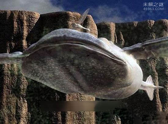 外星生物存在吗?奥里里亚星球可能存在外星生物299 / 作者:UFO爱好者 / 帖子ID:72707