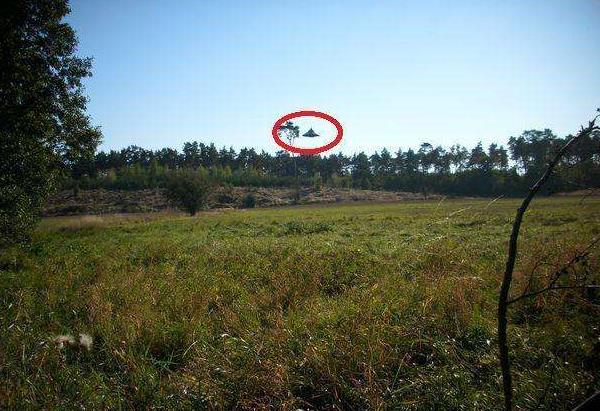波兰男子拍到罕见UFO清晰照 专家号称40年最佳999 / 作者:UFO爱好者 / 帖子ID:97506