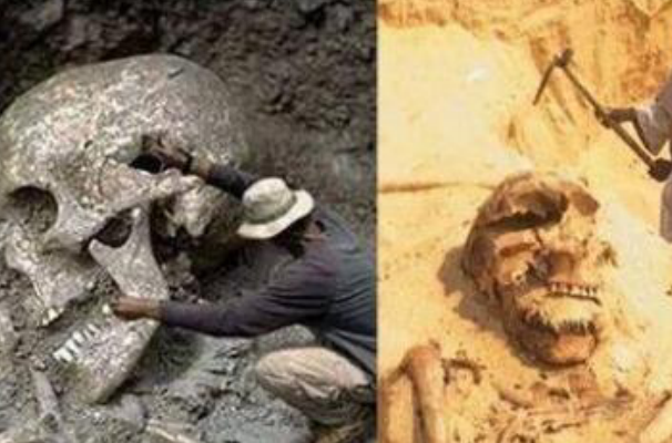 世界第一巨人高5米：头骨比人大，真相令人咂舌(身高5米)641 / 作者:UFO爱好者 / 帖子ID:91991