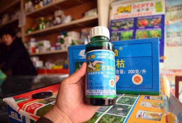 百草枯产品不得在境内销售：剧毒物质人间杀手999 / 作者:UFO爱好者 / 帖子ID:72122
