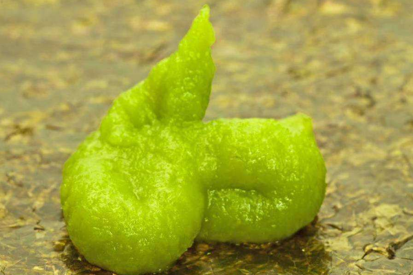 日本人为什么那么喜欢吃芥末?杀菌，防癌，饮食习惯500 / 作者:UFO爱好者 / 帖子ID:79956