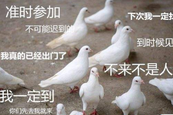 下次一定的梗是什么意思?下次一键三连，源于药水哥视频219 / 作者:UFO爱好者 / 帖子ID:80116