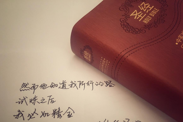 科学证明圣经是真实的？内容不确定,诺亚方舟(4千米海拔)106 / 作者:UFO爱好者 / 帖子ID:80057