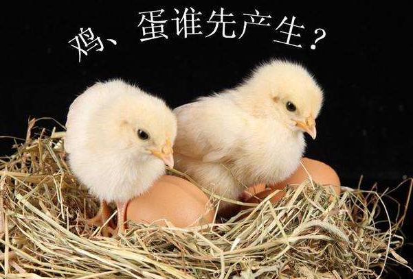 先有鸡还是先有蛋?两种答案，谜题揭晓(鸡的祖先是恐龙)102 / 作者:UFO爱好者 / 帖子ID:79715