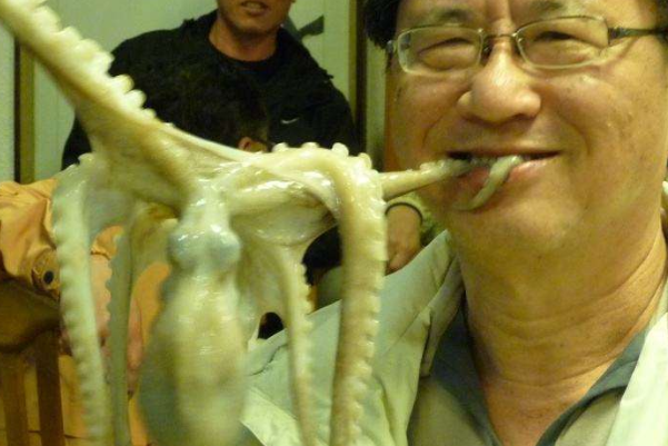 生吃八爪鱼会什么样?吸盘粘附食道，被毒死(无药可解)824 / 作者:UFO爱好者 / 帖子ID:79526
