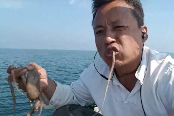 为什么章鱼可以生吃?细腻爽口，最好别生吃(美食毒药)845 / 作者:UFO爱好者 / 帖子ID:79611