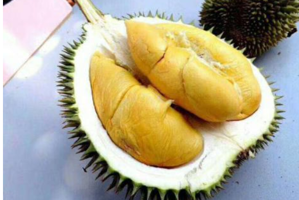 榴莲为什么吃了上瘾?水果之王，香甜软糯(诱惑性美食)665 / 作者:UFO爱好者 / 帖子ID:79429