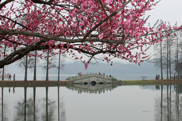冬天适合去哪里旅游?东湖赏梅，哈尔滨滑雪(尝大锅炖)601 / 作者:UFO爱好者 / 帖子ID:79329