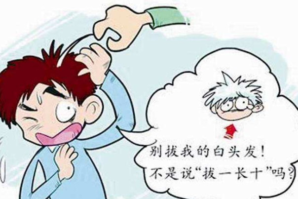 白头发会越拔越多吗?不会，与黑色素有关(提早食补护发)822 / 作者:UFO爱好者 / 帖子ID:79255